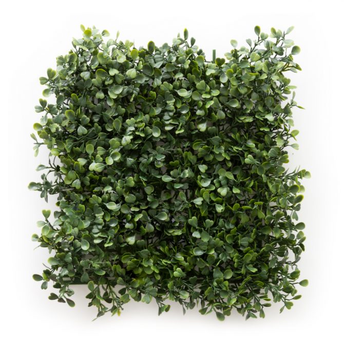 Victoria Green