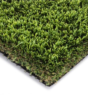 Amadeo Field