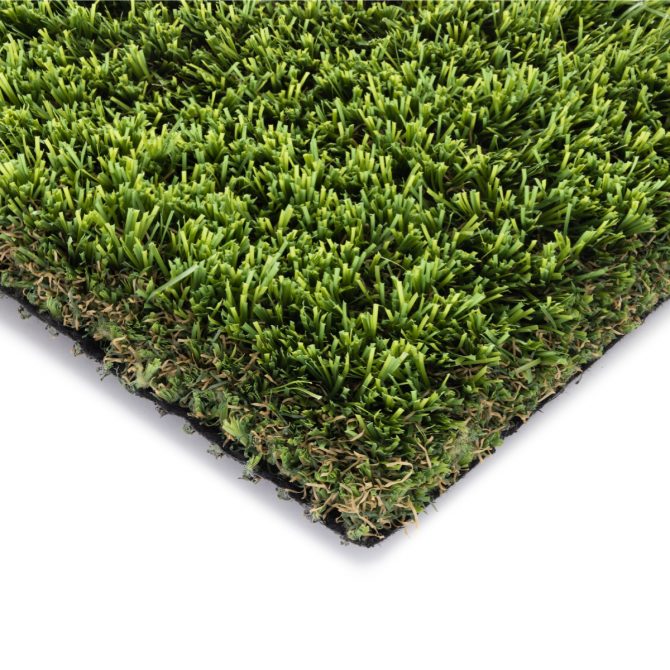 Amadeo Field
