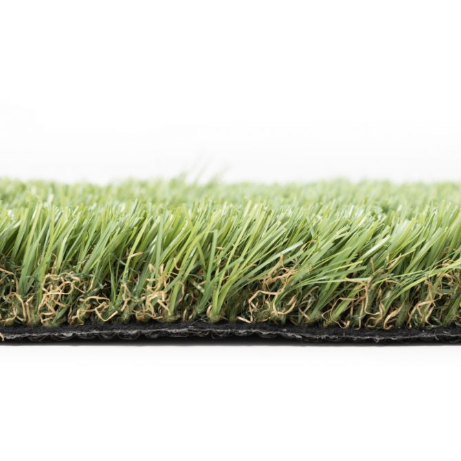 Amadeo Field