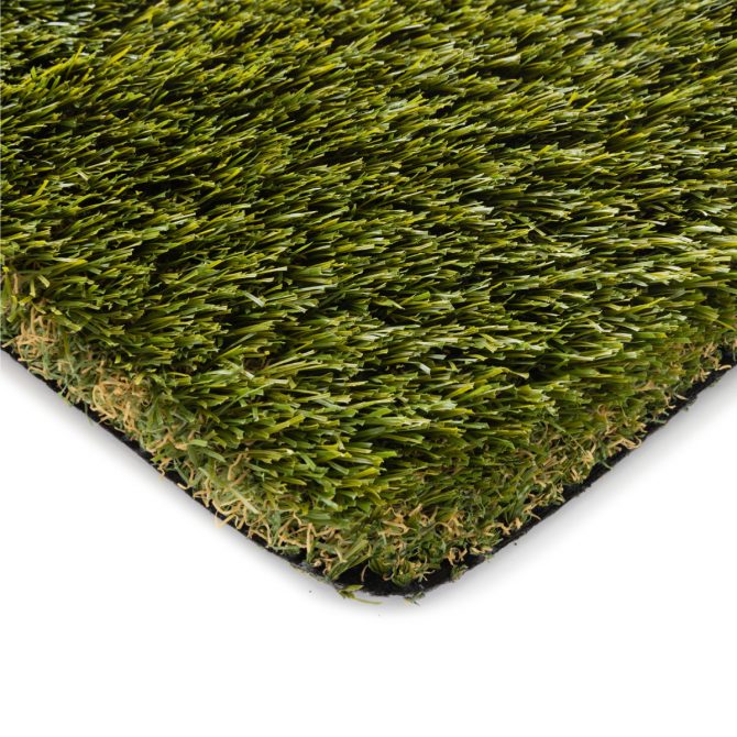 Ciro Green