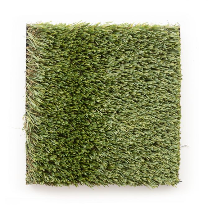 Magnus Grass