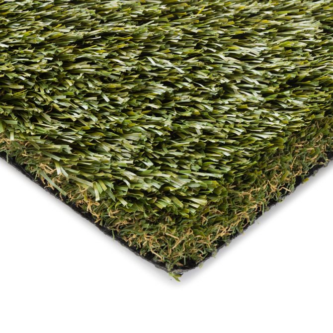Philip Lawn
