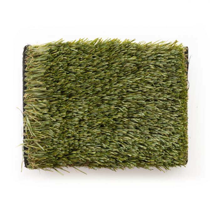 Philip Lawn